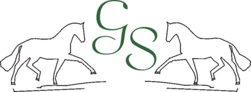 logo-gs